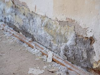 Prévenir et traiter les pathologies liées à l’humidité